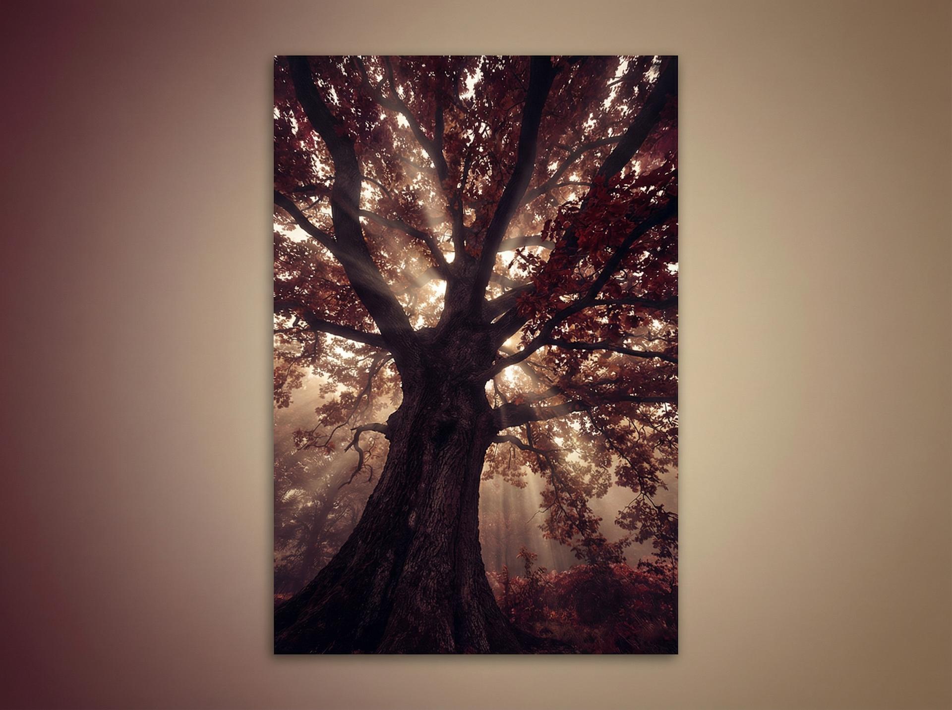 呦呦视频 AI植物视频推荐